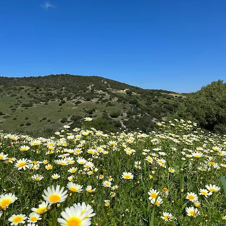 Villa La Vina *