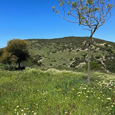 La Vina * Vejer de la Frontera