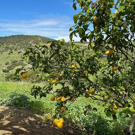 La Vina Vejer de la Frontera